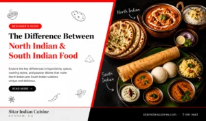 The Differences Between North Indian and South Indian Food: Complete Guide